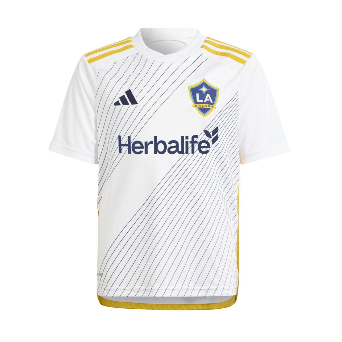 mbp6ffiuugd6sv0r.png 2024-25 LA Galaxy 1a Equipación